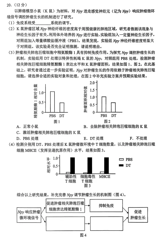 北京西城区高三二模生物学试卷(2026.5) 第9张