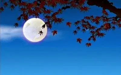 026年中考语文作文终极押题(附范文15篇),篇篇直击满分,让人回味无穷! 第10张
