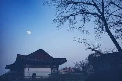 026年中考语文作文终极押题(附范文15篇),篇篇直击满分,让人回味无穷! 第15张