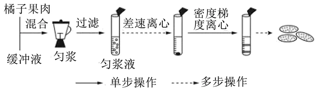 2025年云南省高考生物学真题和答案(附各省下载) ⊙ 第6张