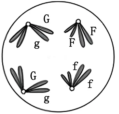 2025年云南省高考生物学真题和答案(附各省下载) ⊙ 第7张