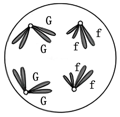 2025年云南省高考生物学真题和答案(附各省下载) ⊙ 第8张