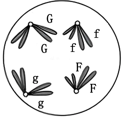 2025年云南省高考生物学真题和答案(附各省下载) ⊙ 第10张