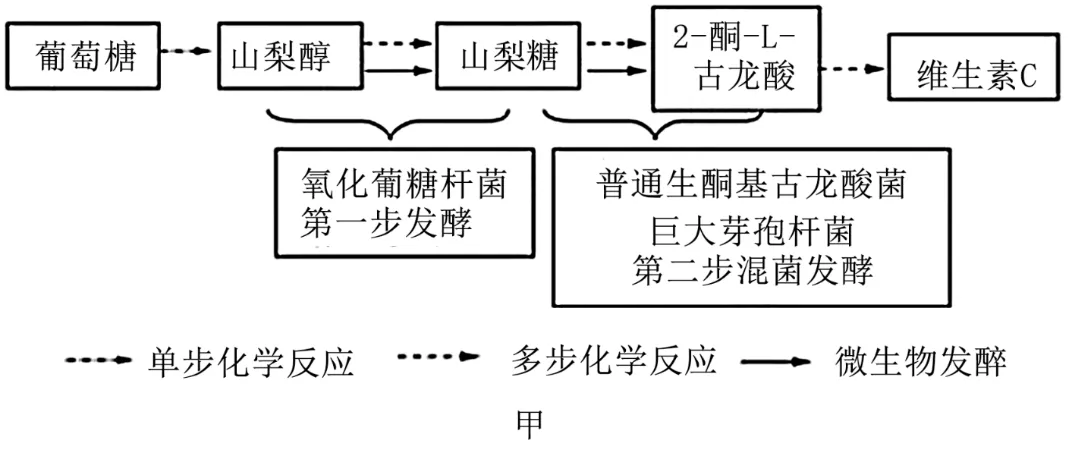2025年云南省高考生物学真题和答案(附各省下载) ⊙ 第13张