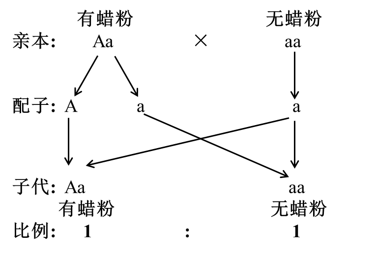 2025年云南省高考生物学真题和答案(附各省下载) ⊙ 第18张