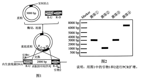 高考真题 | 每日一题(277) 第2张