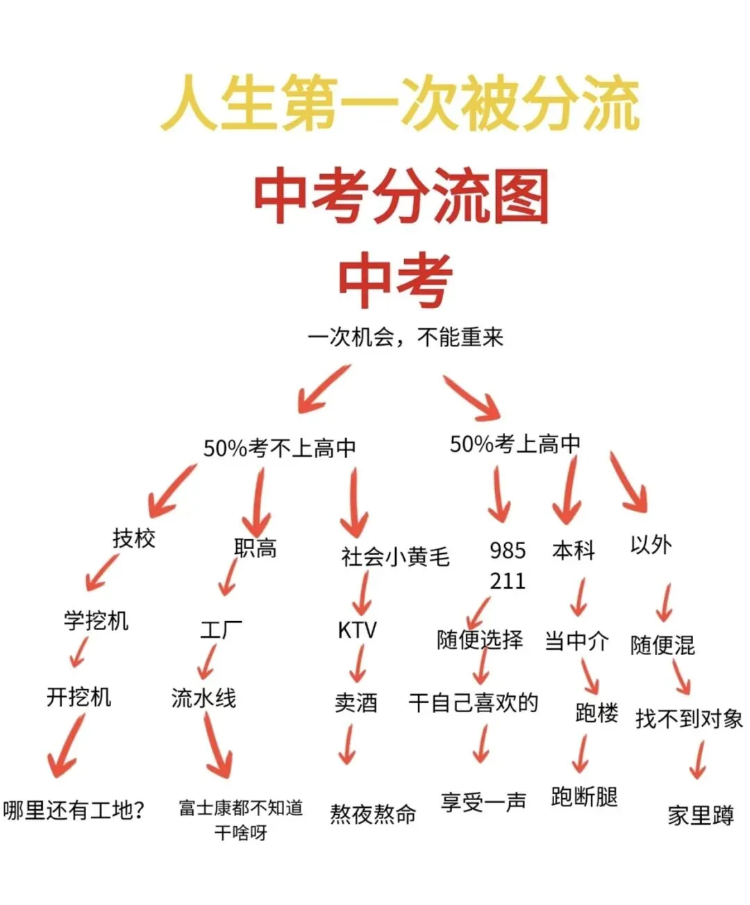 一场中考,半部人生:读懂中考分流,远比高考更重要 第5张