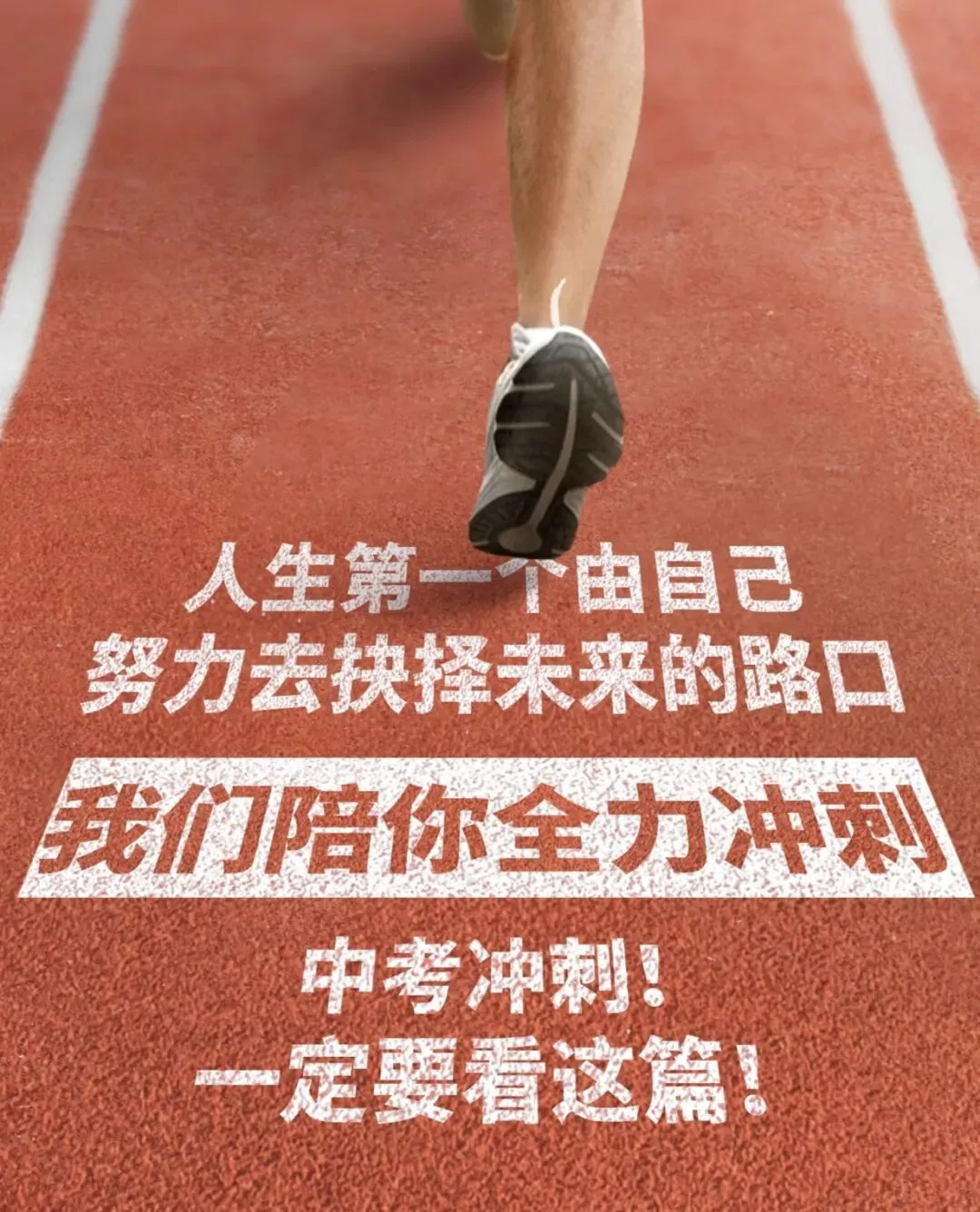 一场中考,半部人生:读懂中考分流,远比高考更重要 第21张