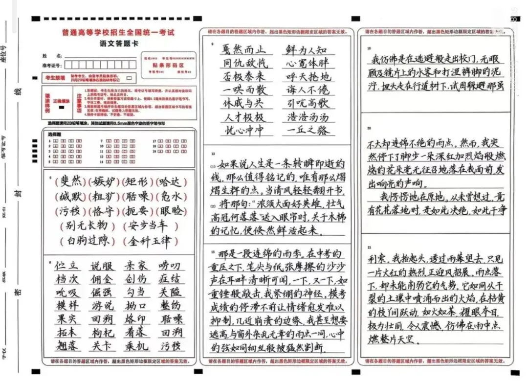 期中试卷分析 | 孩子明明会做却丢分?别让“卷面”成为拉低成绩的隐形杀手! 第12张