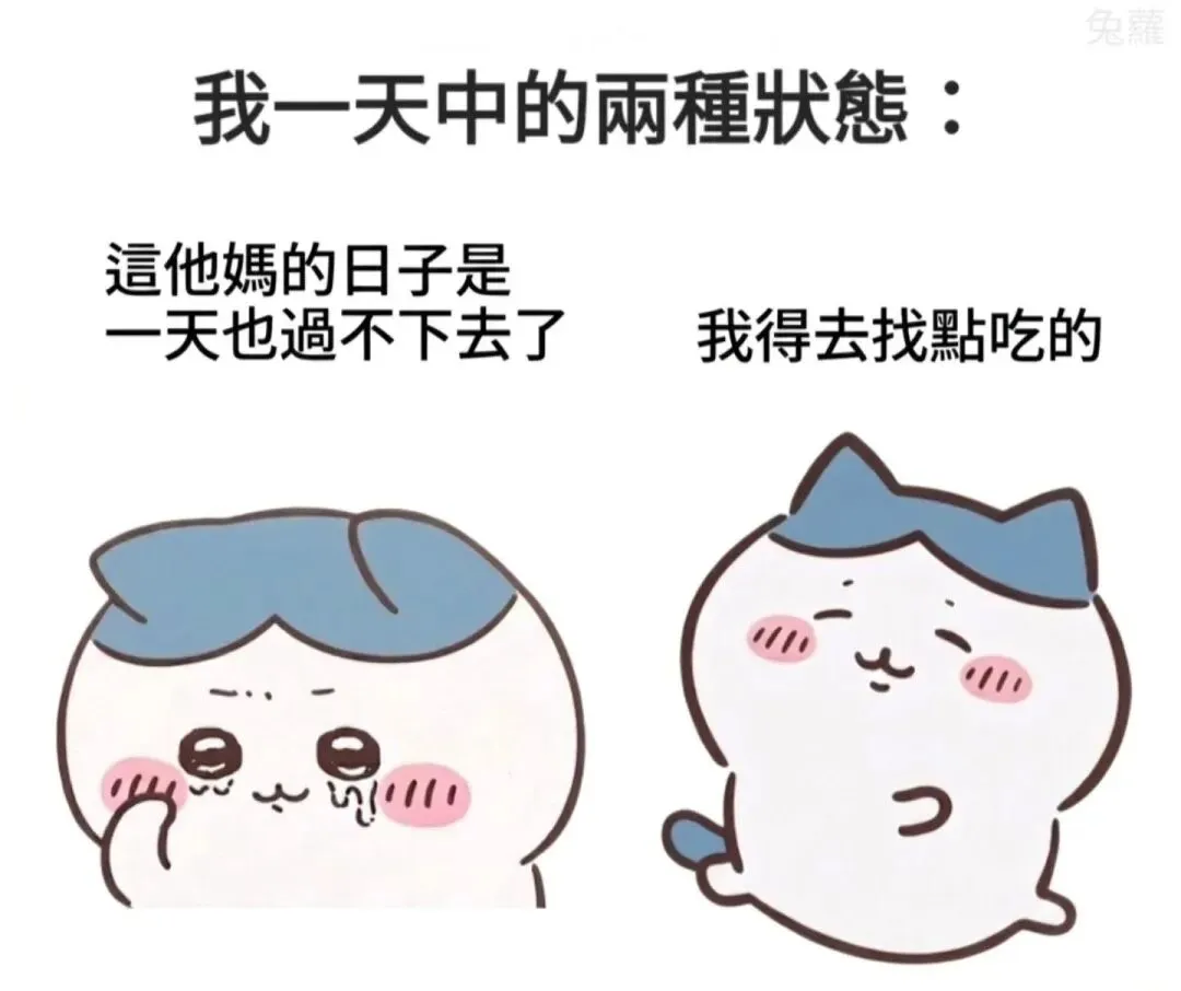 助理社工师考试实务模拟题 第1张