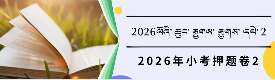 2026年小考考前冲刺卷3(试卷+答题卡+答案) 2026ལོའི་བོད་སྐད་ཡིག་ཆུང་རྒྱུགས་རྒྱུགས་དཔེ།3 第10张