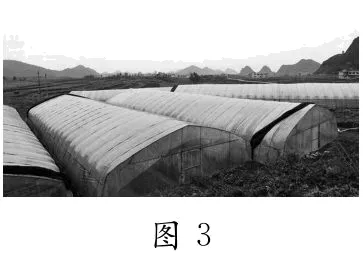 2026年地理中考热点(69)琼结风电项目 第15张