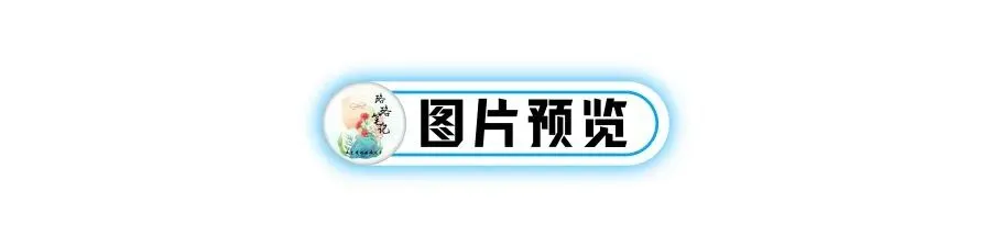 中考考前一月系列班会课课件——下一站,中考!(68页PPT16095字逐字稿教学设计) 第8张 中考考前一月系列班会课课件——下一站,中考!(68页PPT16095字逐字稿教学设计) 第8张