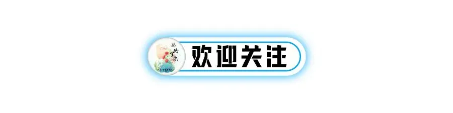 中考考前一月系列班会课课件——下一站,中考!(68页PPT16095字逐字稿教学设计) 第17张 中考考前一月系列班会课课件——下一站,中考!(68页PPT16095字逐字稿教学设计) 第17张
