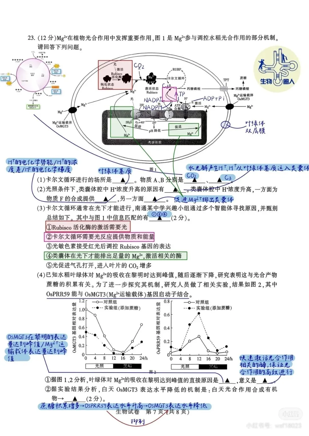 2026年南通二模高三生物试卷详细解析 第12张