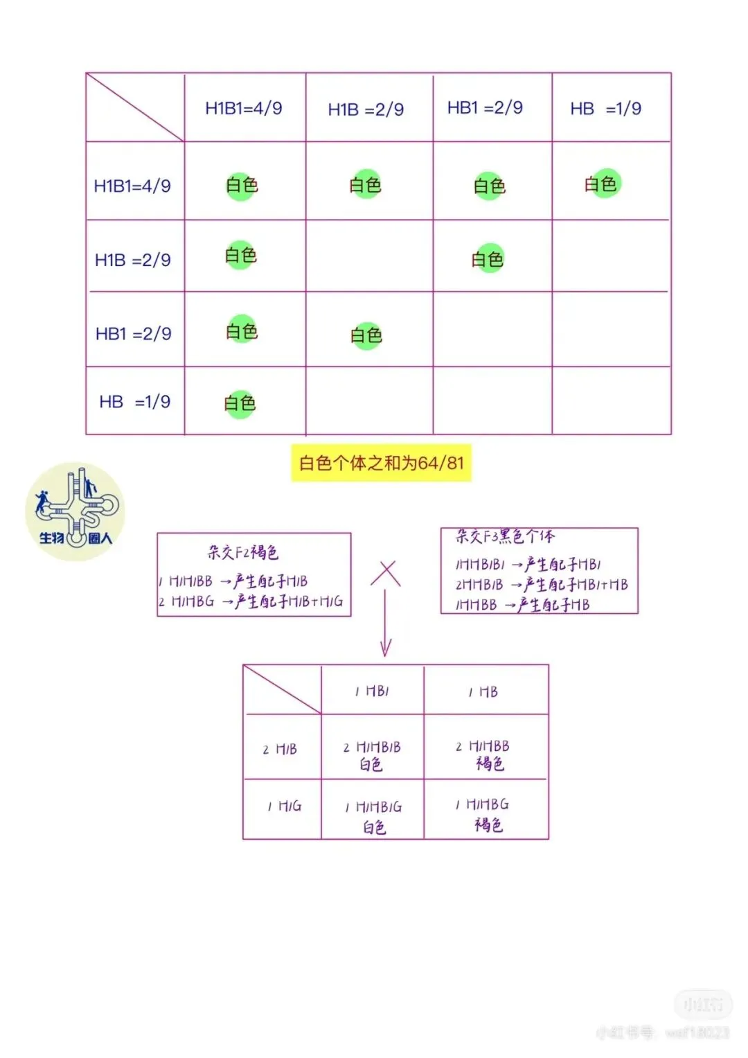 2026年南通二模高三生物试卷详细解析 第14张
