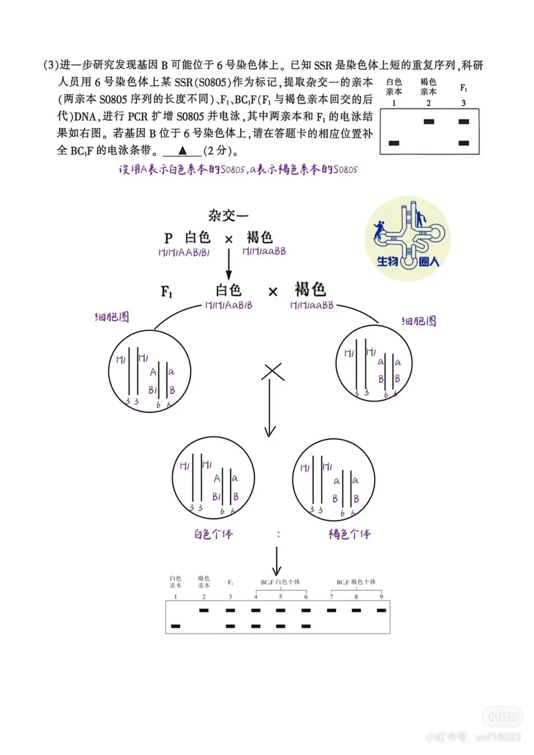 2026年南通二模高三生物试卷详细解析 第15张