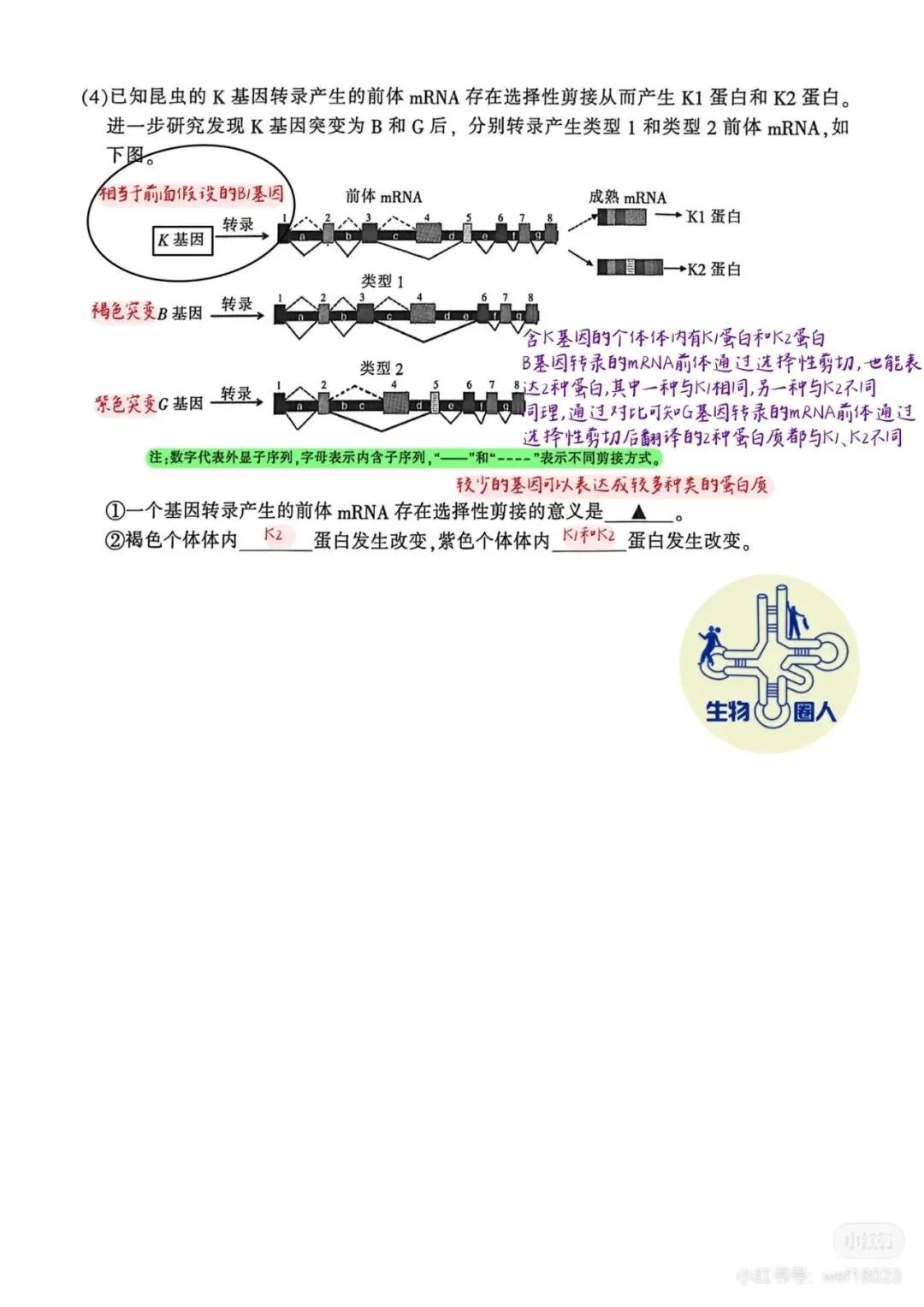 2026年南通二模高三生物试卷详细解析 第16张