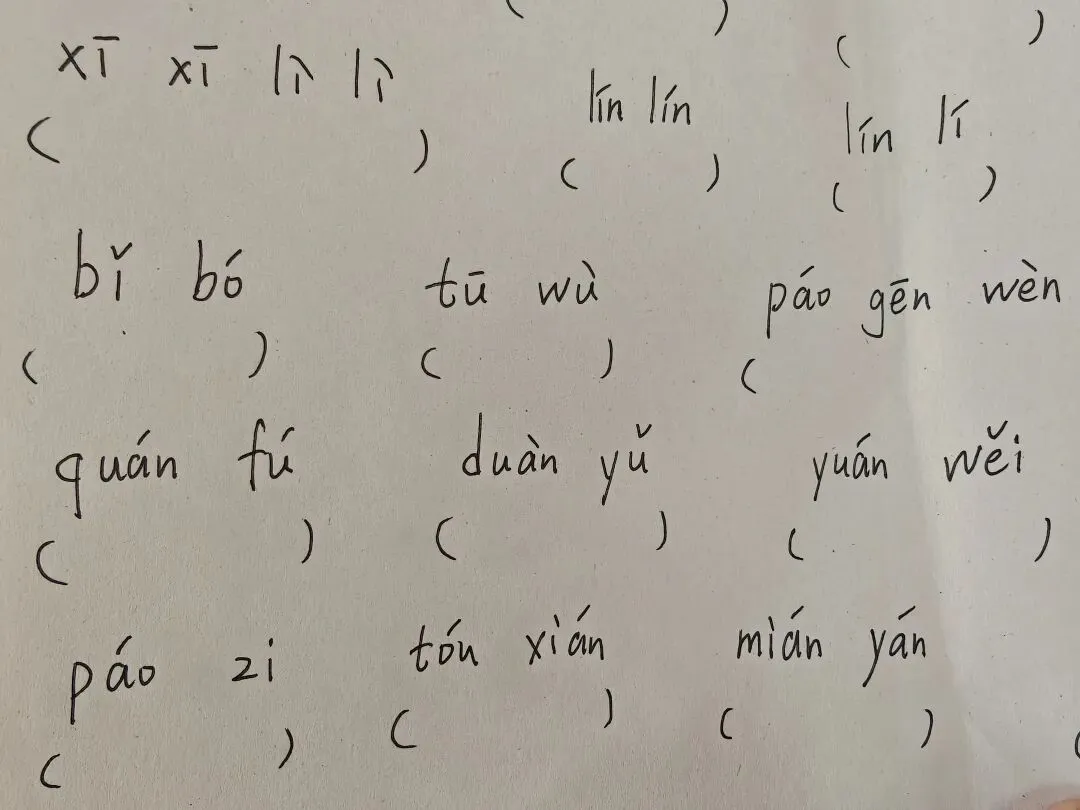 中考复习之字词 第3张