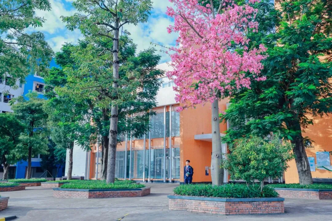 【会员资讯】顺德文德学校,2026佛山中考志愿宝藏之选 第11张