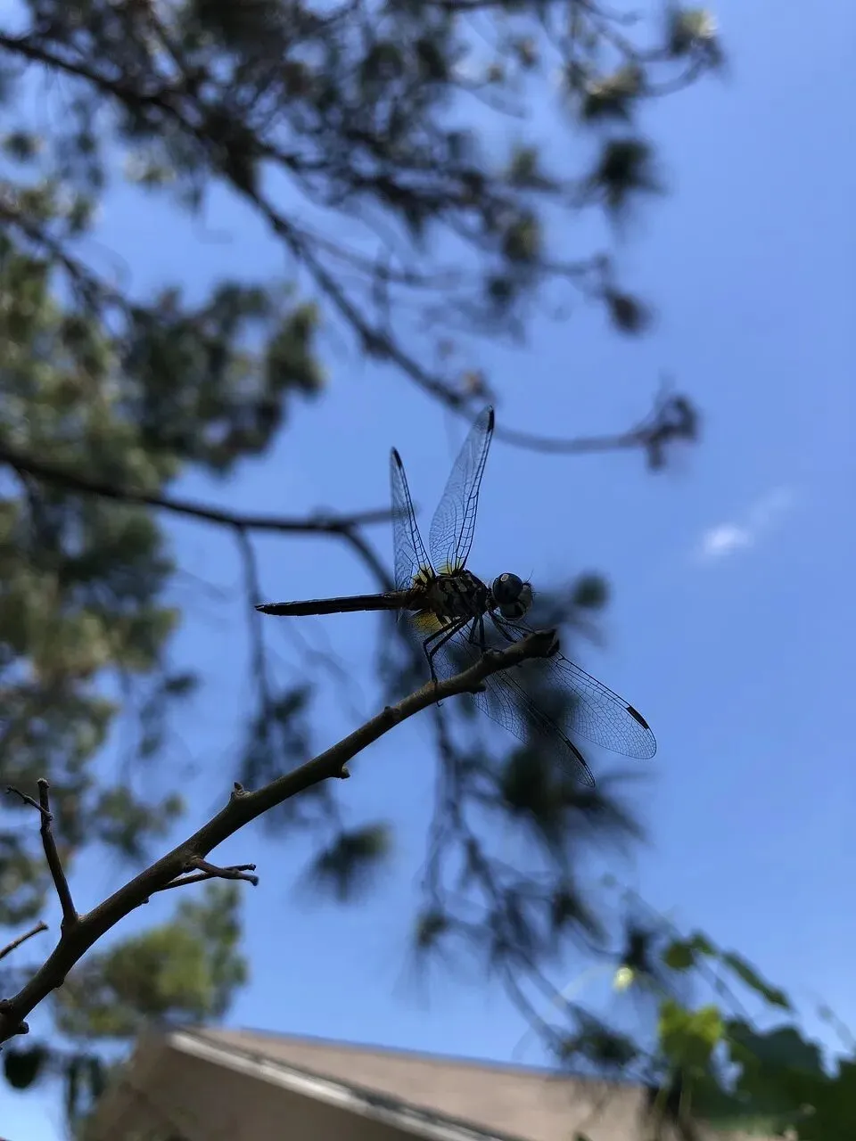 好构思,好细节——中考作文怎么写 第2张