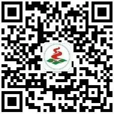 趣动青春赴中考,温情相伴向未来 第20张