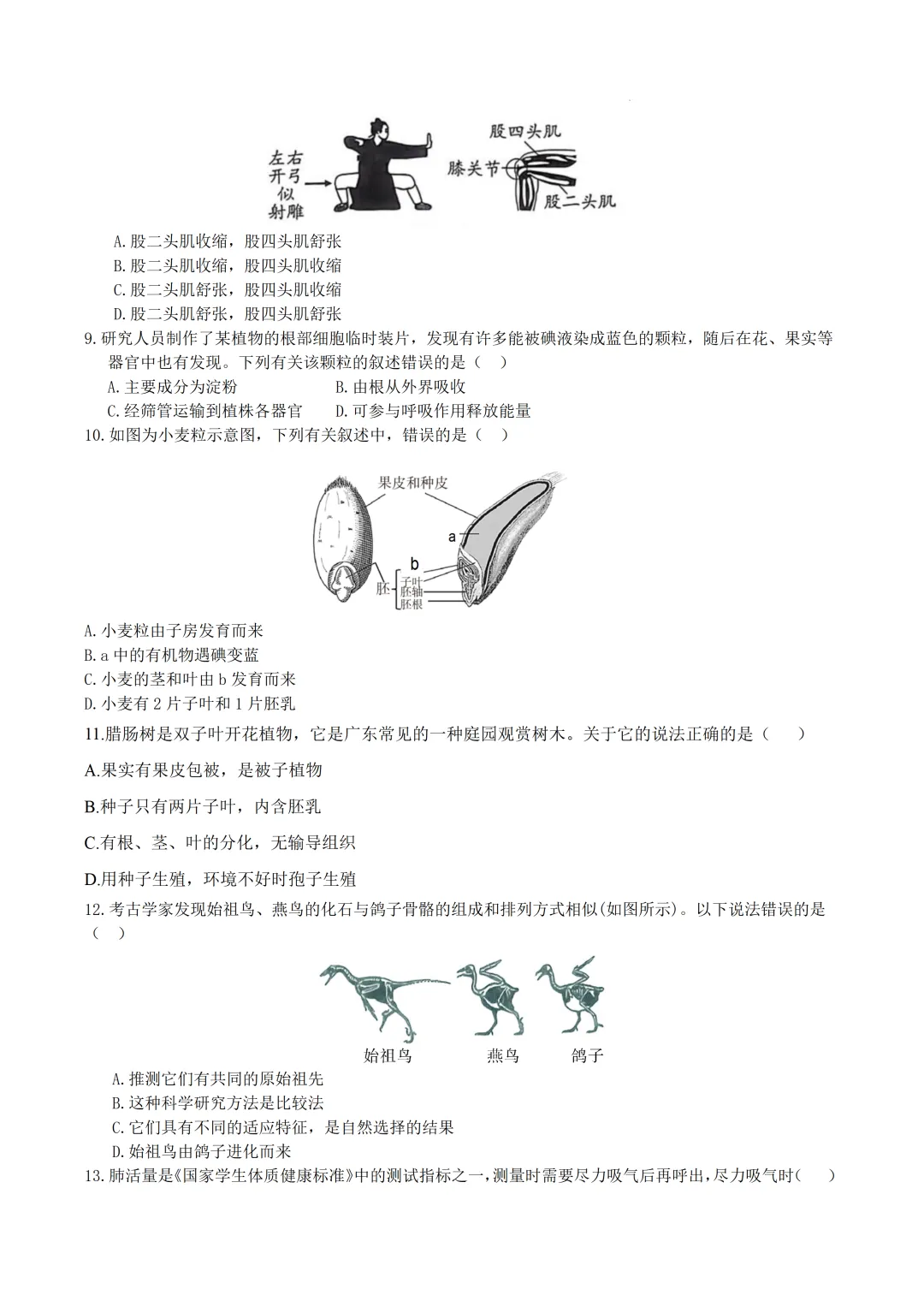 2026广东中考生物第六次模拟卷 (附答案) 第3张