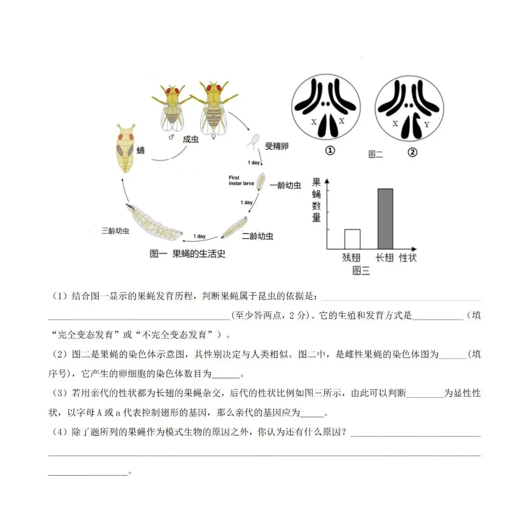2026广东中考生物第六次模拟卷 (附答案) 第9张
