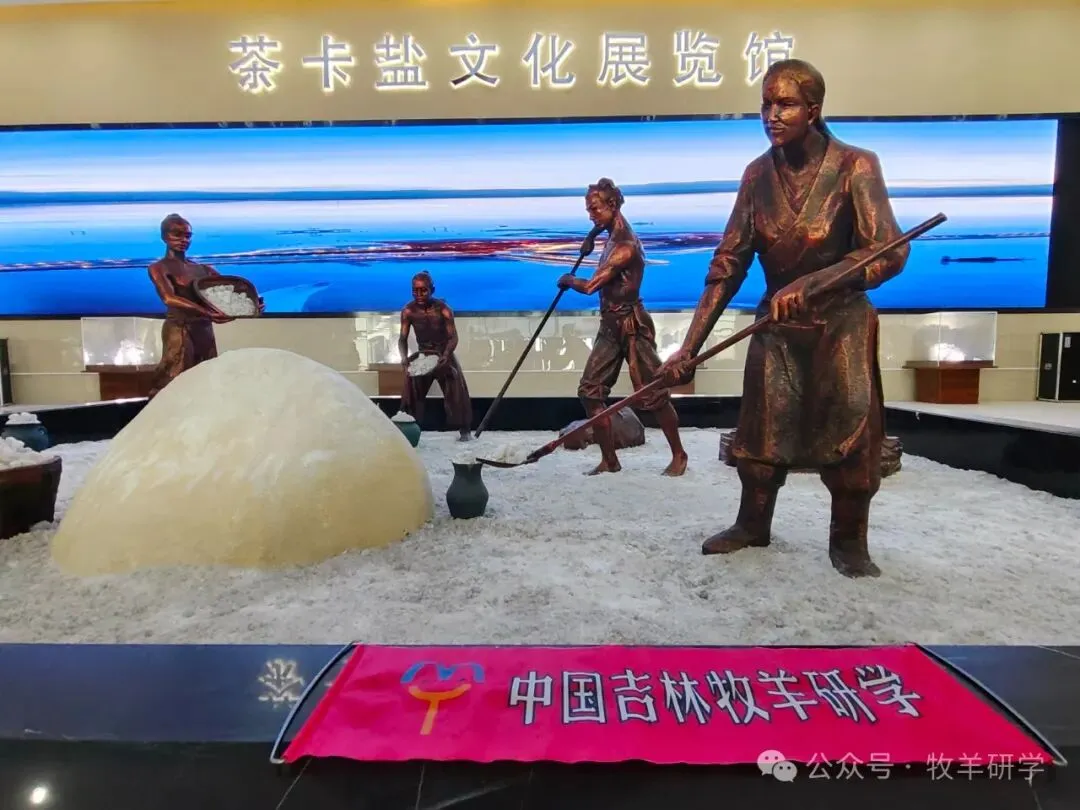 【中考假期/暑假七天六夜研学】西北少年行(甘肃+青海) 第107张