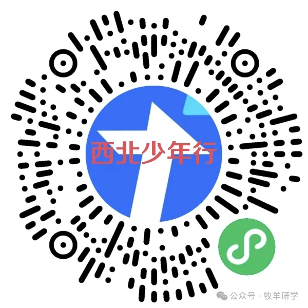 【中考假期/暑假七天六夜研学】西北少年行(甘肃+青海) 第146张