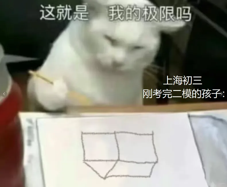 这场上海中考闭门讲座太敢说了! 第1张 这场上海中考闭门讲座太敢说了! 第1张