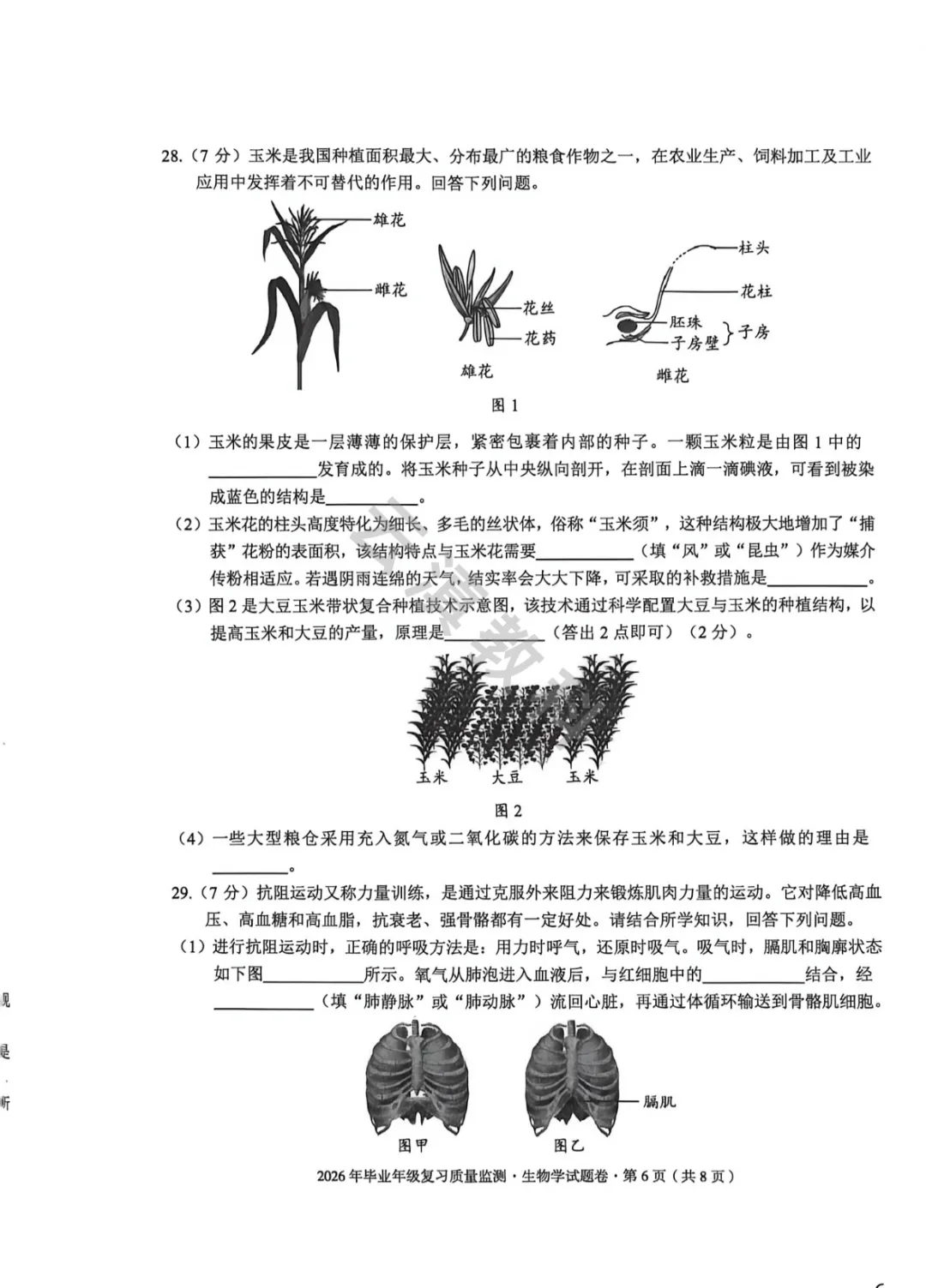2026年盘龙区初中二模试卷(全) 第31张