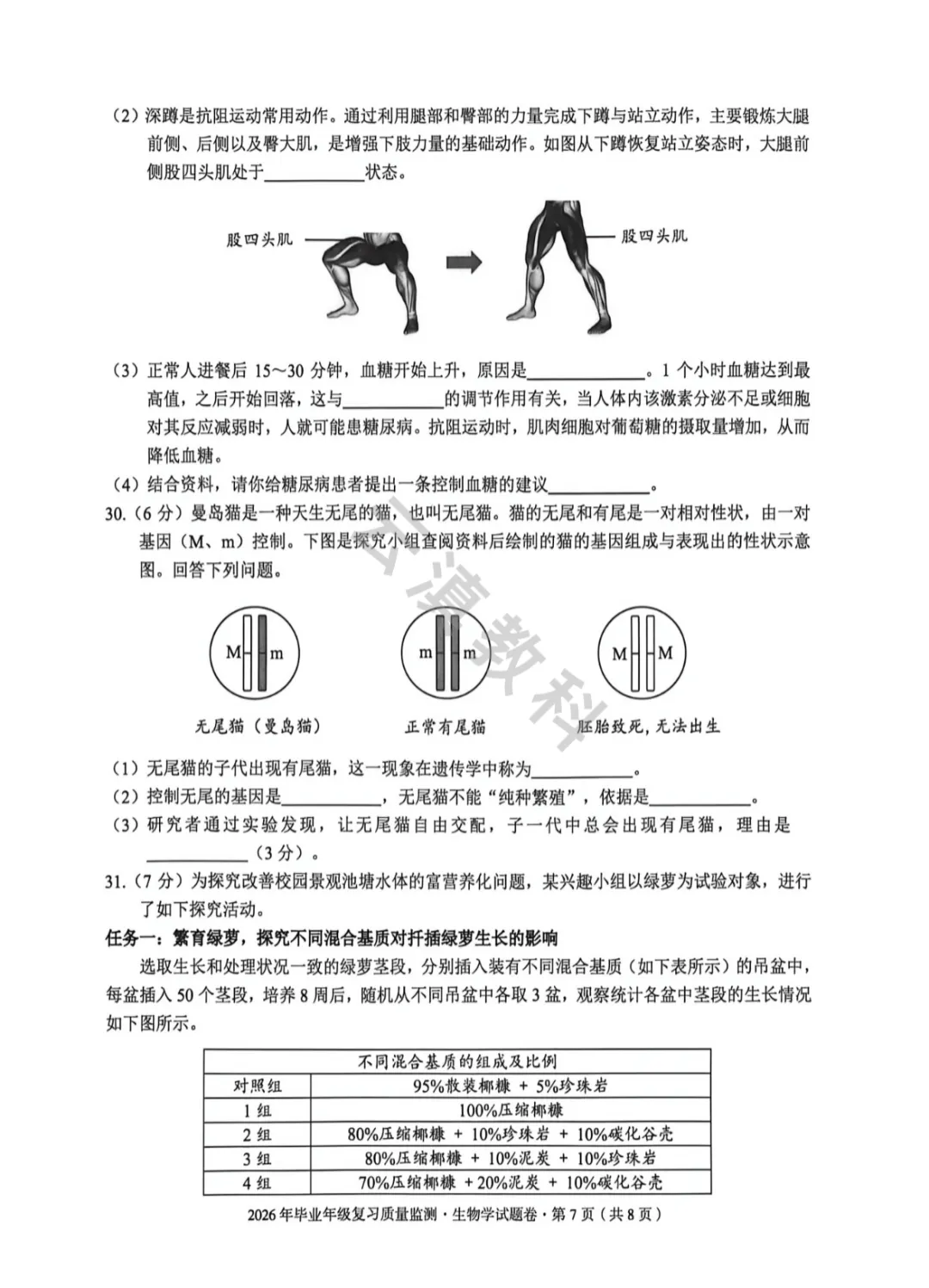 2026年盘龙区初中二模试卷(全) 第32张