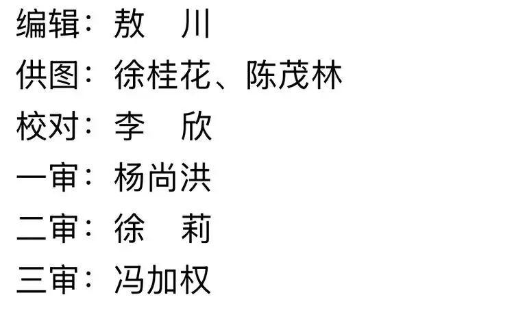 深耕课堂研真题 精准赋能备中考——陈茂林化学名师工作室送教垫江四中 第40张