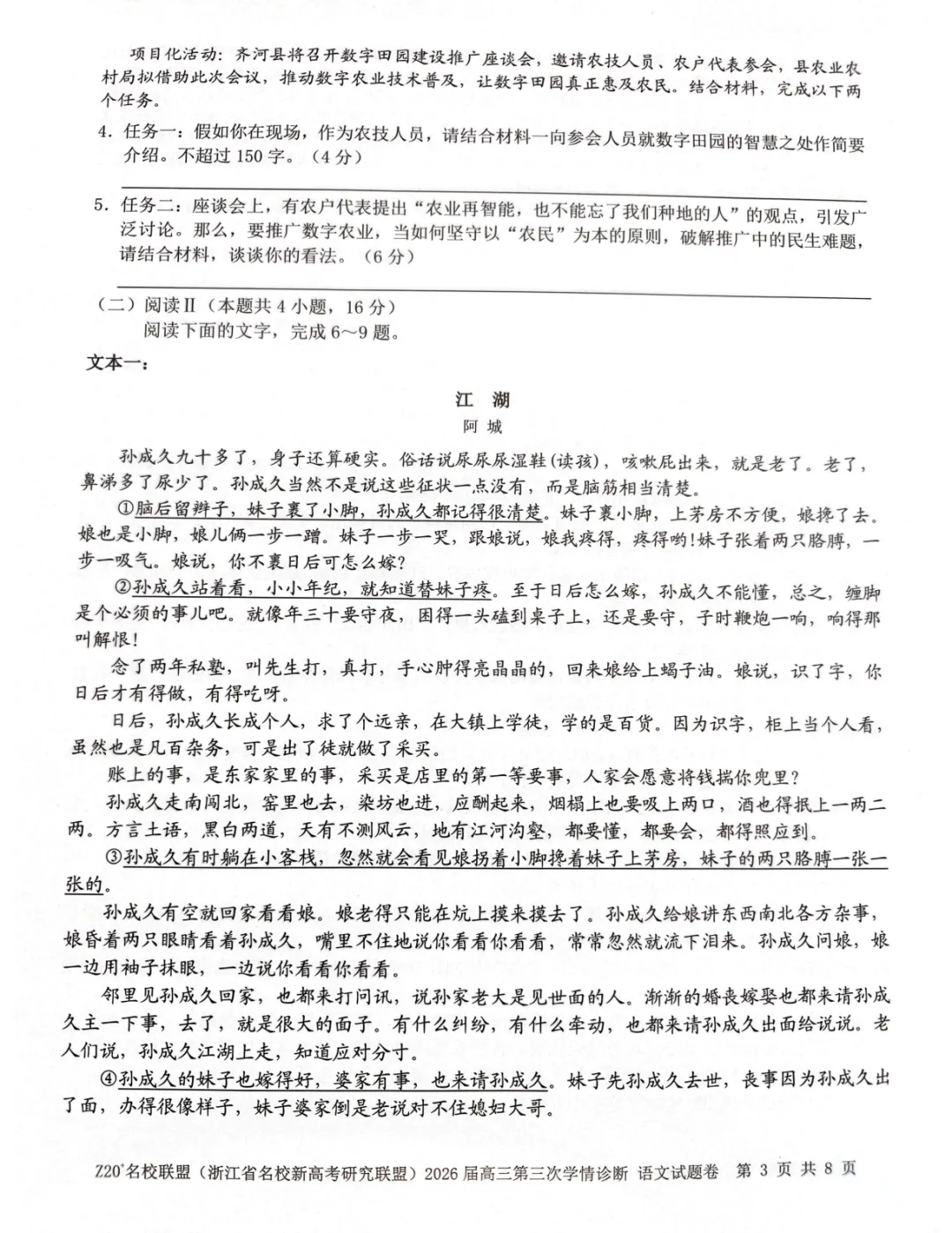 2026年5月高三Z20⁺名校联盟语文试卷及答案 第4张