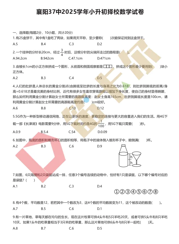【小五中】25年小升初择校试卷-进群免费领取 第7张