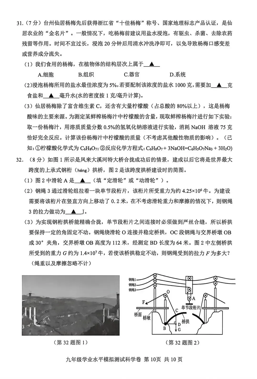 【中考】2026年5月台州市仙居县中考科学二模卷试题 第10张