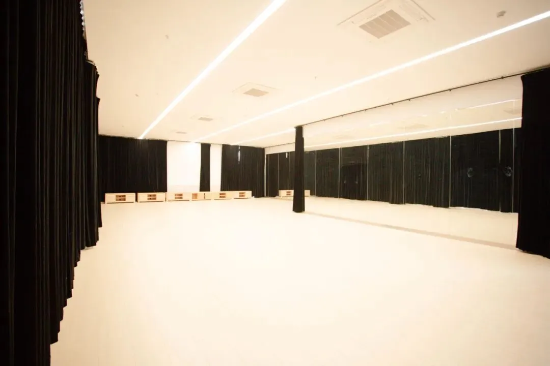 宁波至诚高级中学2026年中考艺术特长生招生简章 第11张