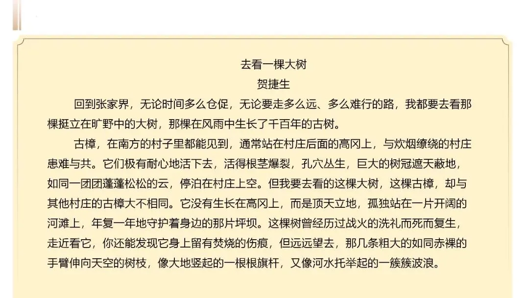 【试卷+课件】2026届山东济南三模语文试卷评讲 第32张