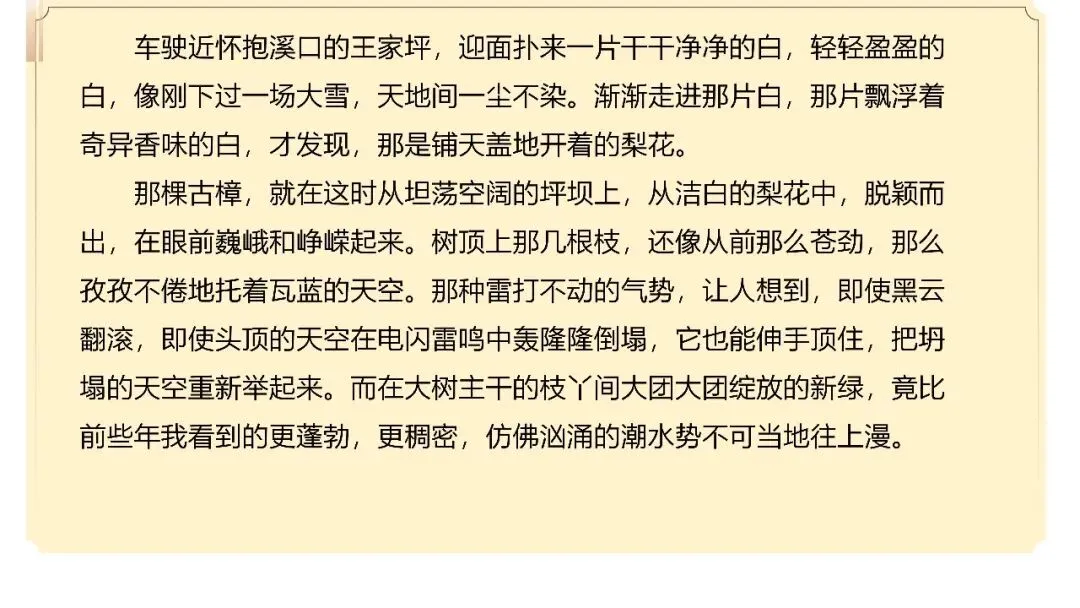 【试卷+课件】2026届山东济南三模语文试卷评讲 第39张