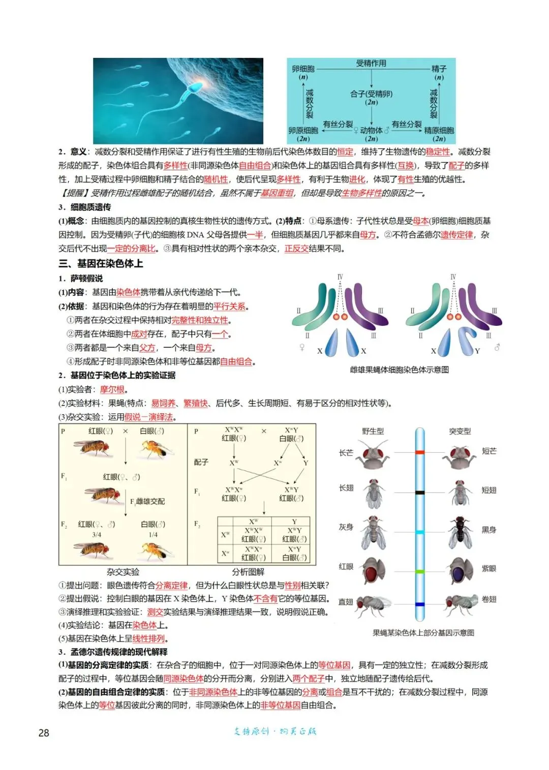 考前回归——高中生物基础知识+经典真题 第28张