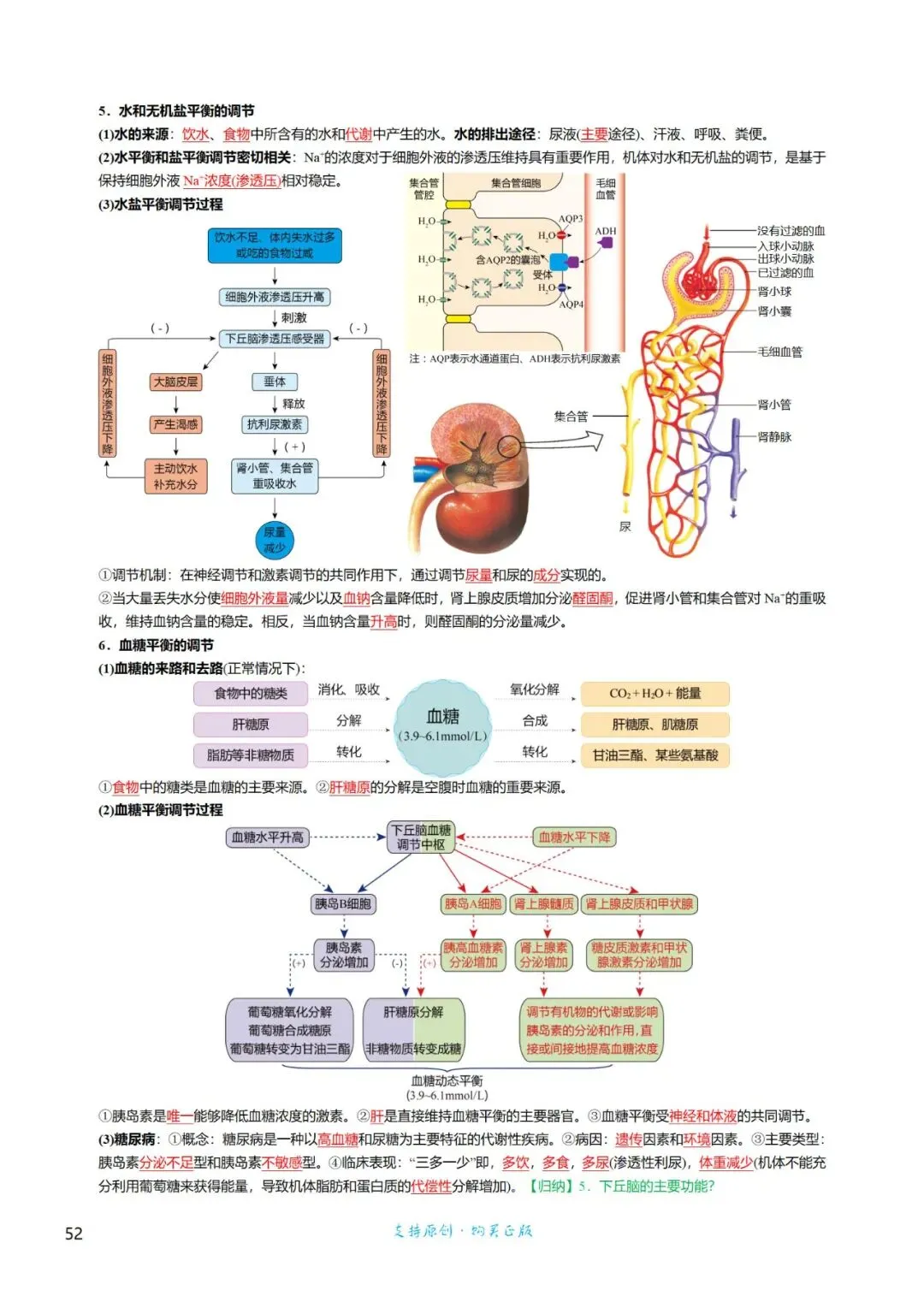 考前回归——高中生物基础知识+经典真题 第52张
