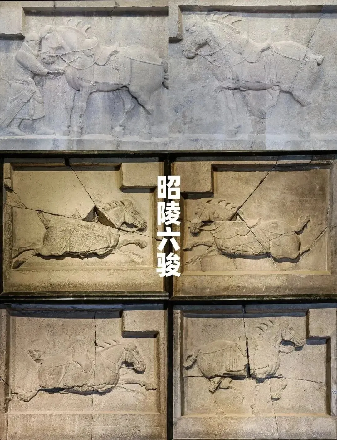 教学|市二模名著导读题块(试卷分析) 第2张
