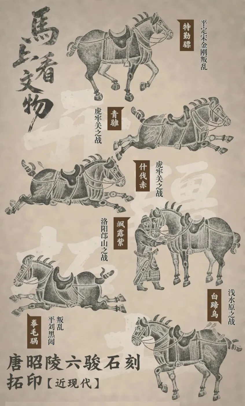 教学|市二模名著导读题块(试卷分析) 第3张