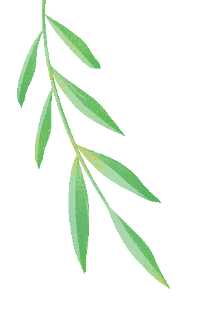 四六级模考|小满赴考,正式开启! 第13张