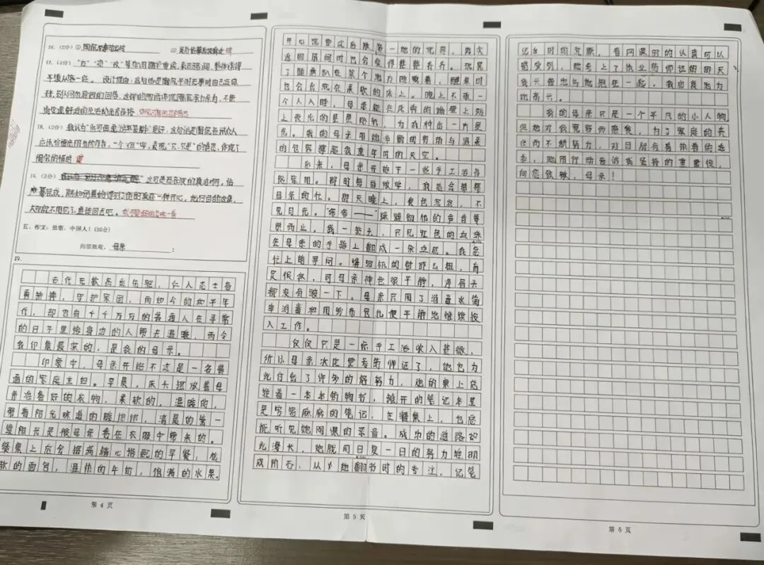 浙江省温州市苍南县七年级期中考考场高分作文 第1张