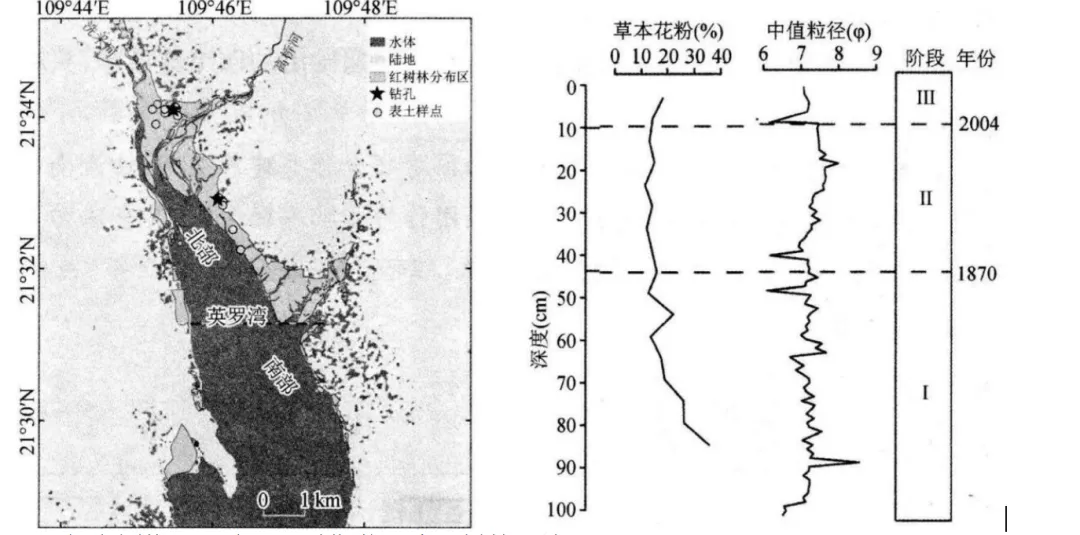 【模考动态】郴州模拟+湛江联考:红树林沉积 第2张