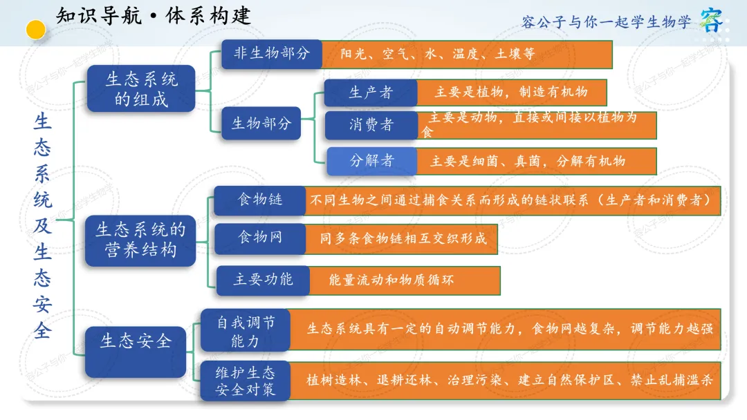初中生物学中考一轮复习课件《第8讲 生态系统及生态安全》 第3张