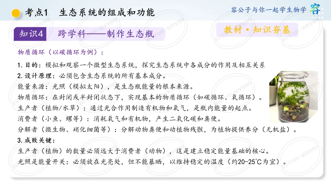 初中生物学中考一轮复习课件《第8讲 生态系统及生态安全》 第8张