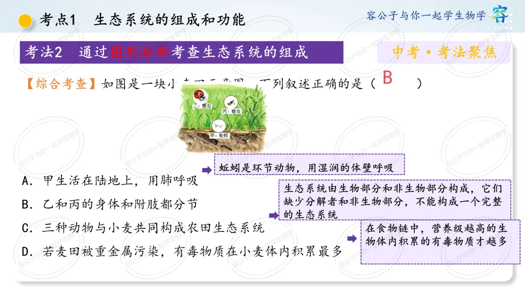 初中生物学中考一轮复习课件《第8讲 生态系统及生态安全》 第13张